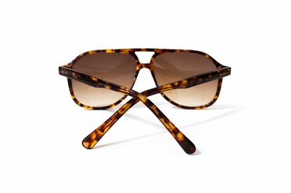 Gallery–Tortoise