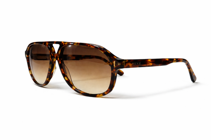 Gallery–Tortoise