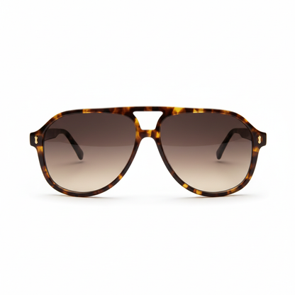 Gallery–Tortoise