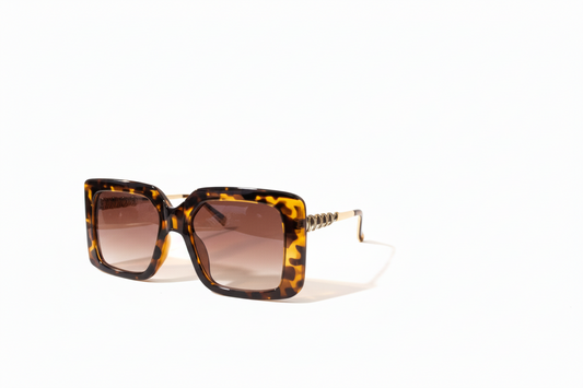 Oversized Beauty-Tortoise