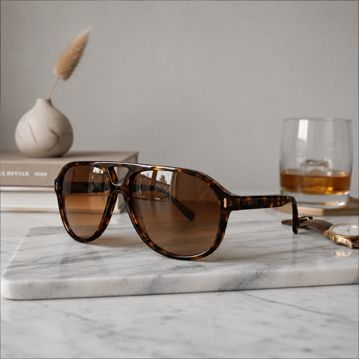 Gallery–Tortoise
