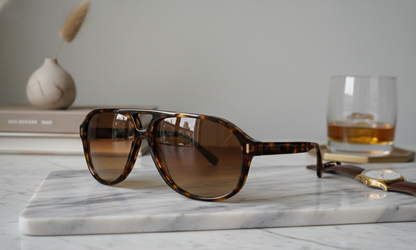 Gallery–Tortoise